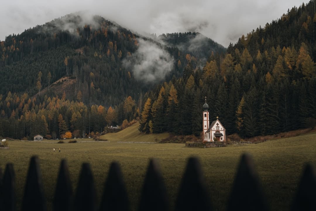 http://upload.mnw.cn/2024/1202/1733107782134.jpg